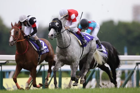 ゴールドシップは、有馬名物「奇跡のラストラン」を見せられるか (2